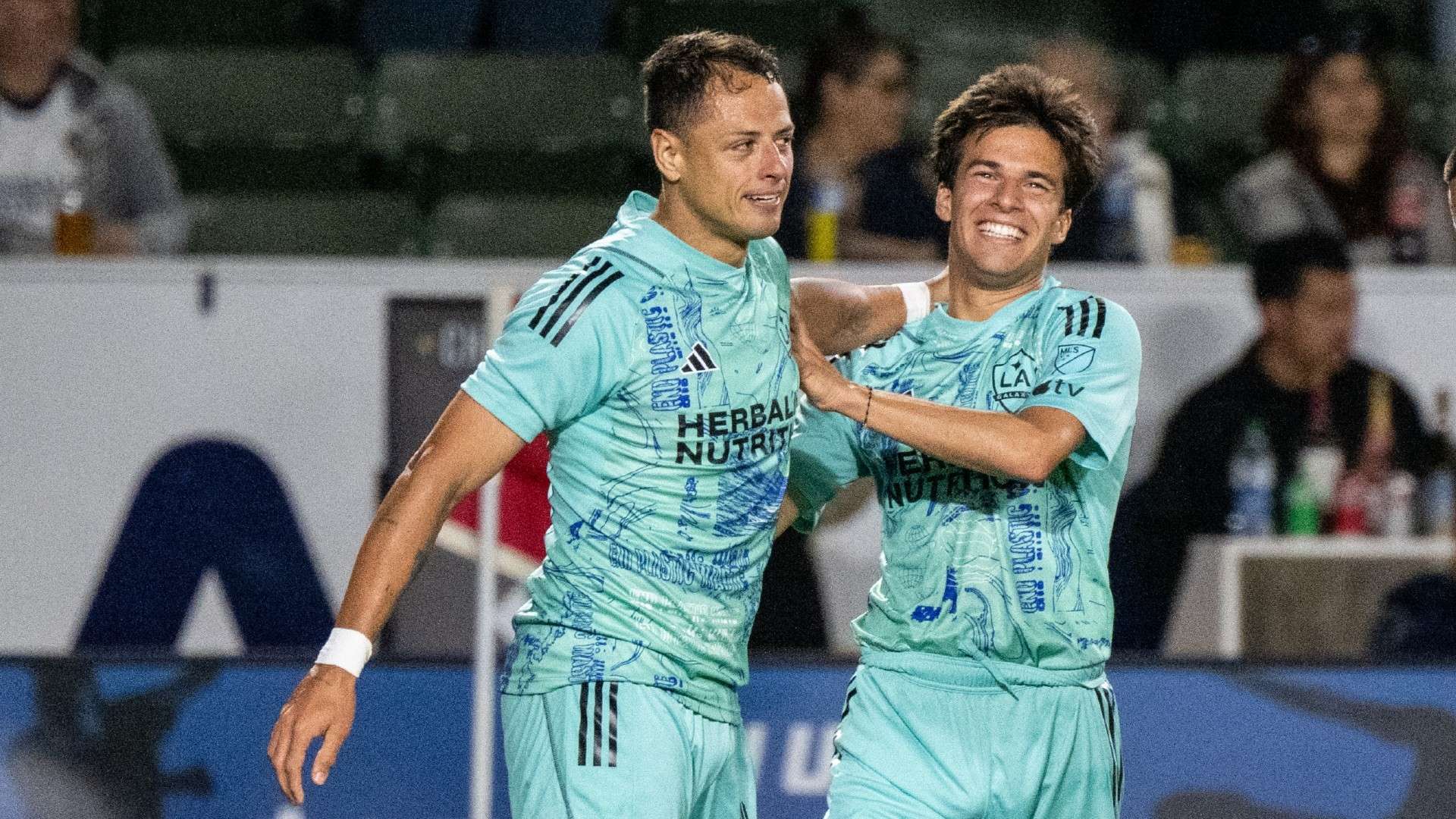 尔的基本信 尔的基本信